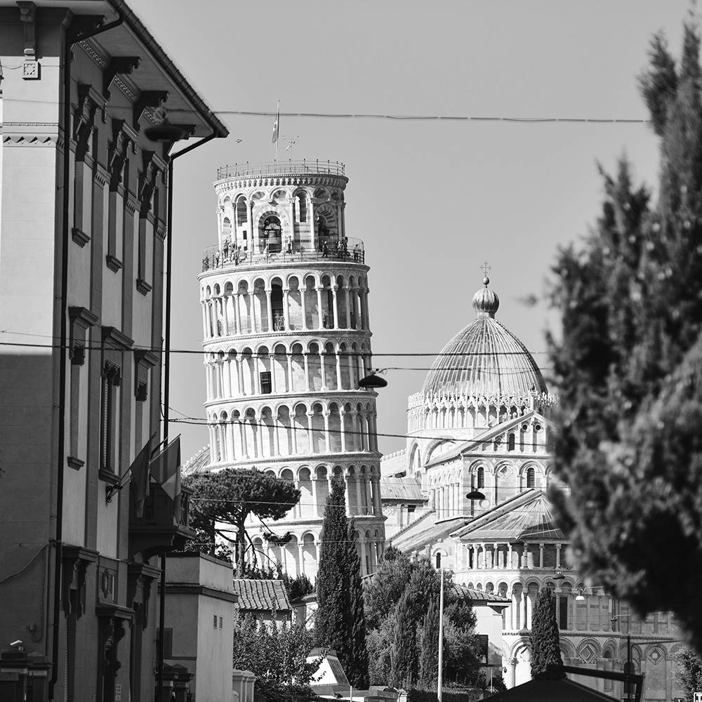 Pisa